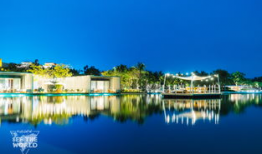 艾迪逊,探索创新与变革的科技先锋